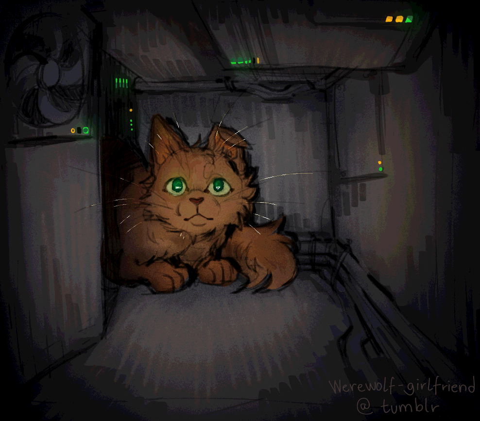 Digital art of an orange-brown cat character, peering out into a spotlight on her return from exploring the inner workings of a mainframe. Small green and orange LEDs glimmer around her.